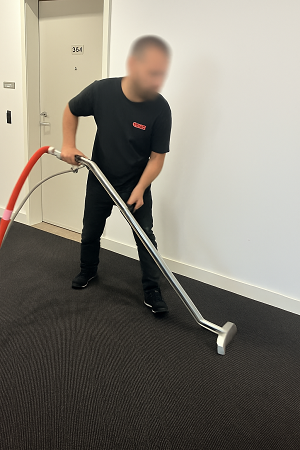 carpet cleaning